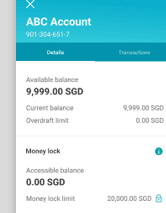 Accessible / available balance
